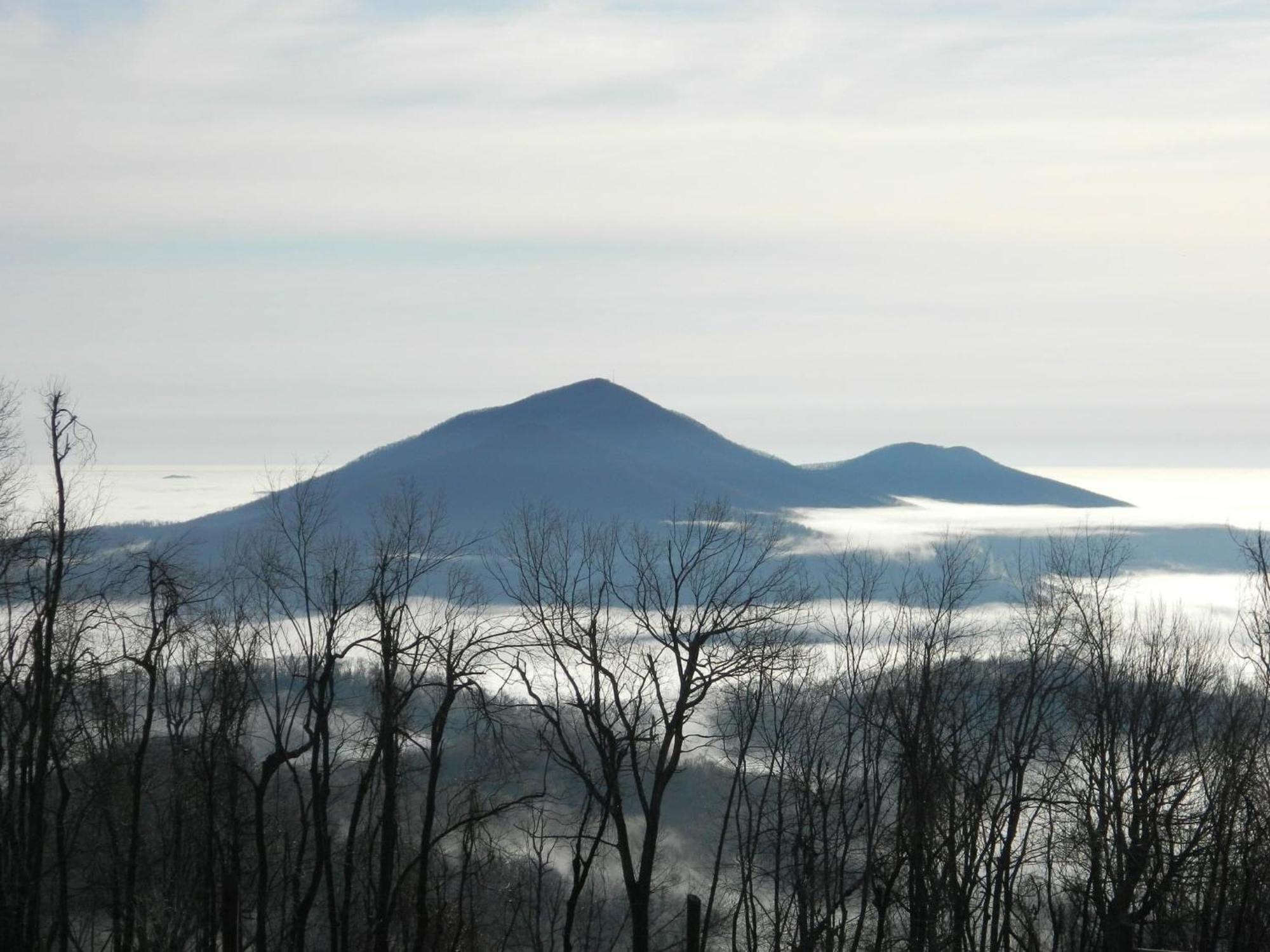 Bent Mountain Lodge Роанок Экстерьер фото