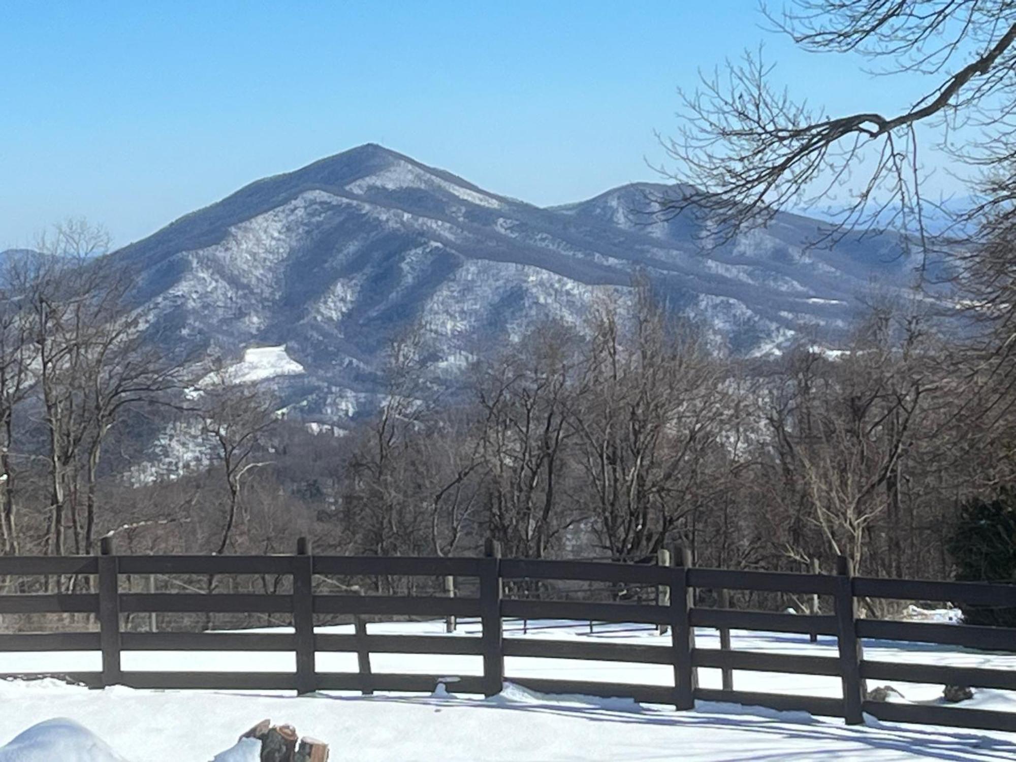 Bent Mountain Lodge Роанок Экстерьер фото