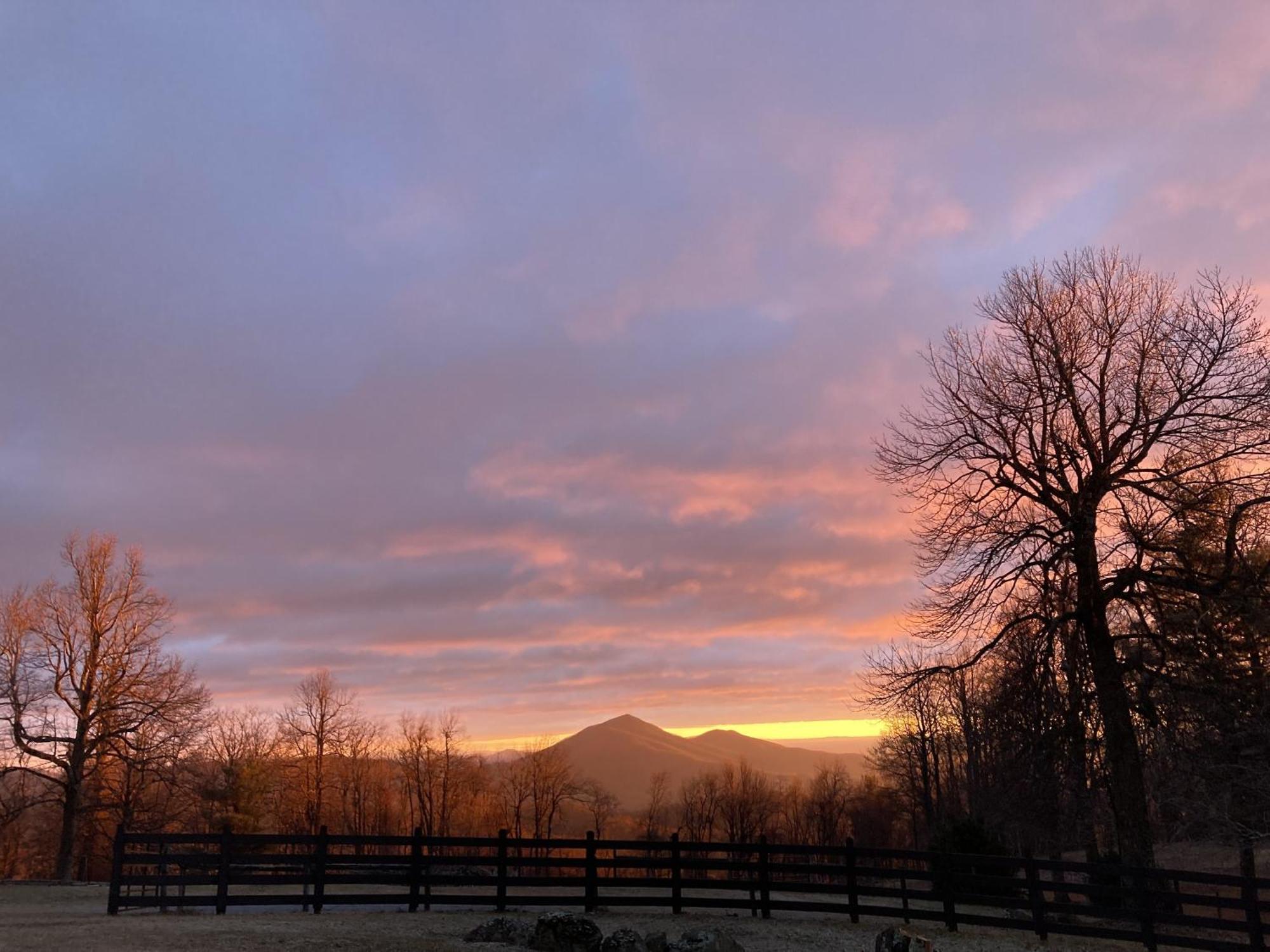 Bent Mountain Lodge Роанок Экстерьер фото